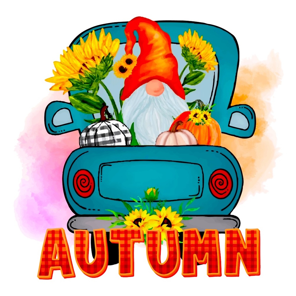 Custom shirts from infant sizes to big and tall. Pick a design or send us one!